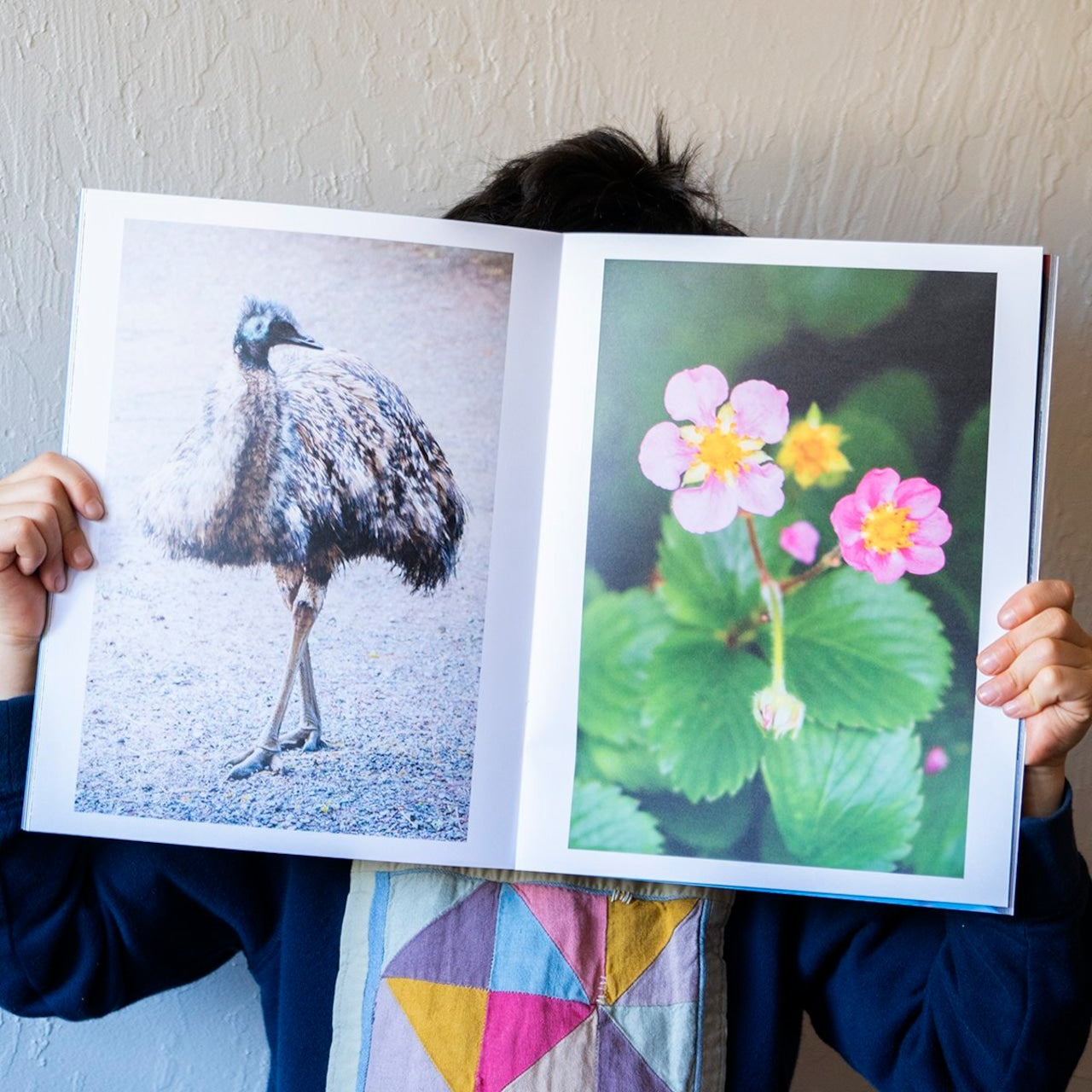 Sun Seeker Rain Walker photo zine by Fumie Ishii
